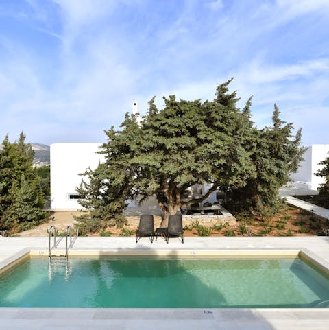 Take a dip in your private pool after soaking up the morning sunshine with your loved ones