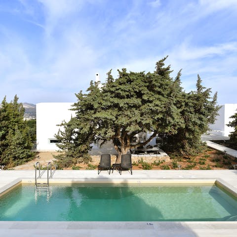Take a dip in your private pool after soaking up the morning sunshine with your loved ones