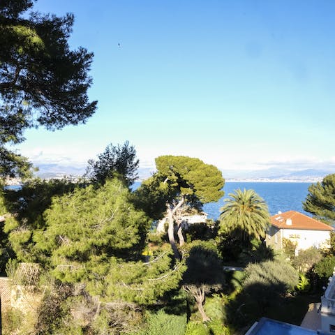 Enjoy your morning coffee with a view of the sea through the towering pine trees
