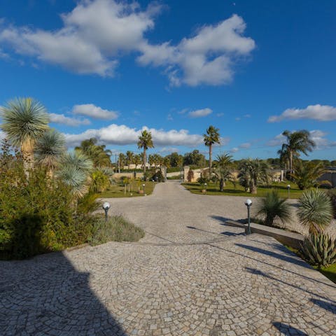Explore the expansive grounds and sit under the shade of the palms with a good book