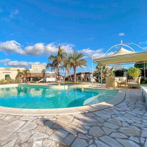 Start your day with some laps in the large private pool under the palm trees and clear blue skies